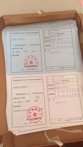 (就业报到证样本-点击放大)