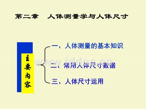 02人体测量与人体尺寸.ppt