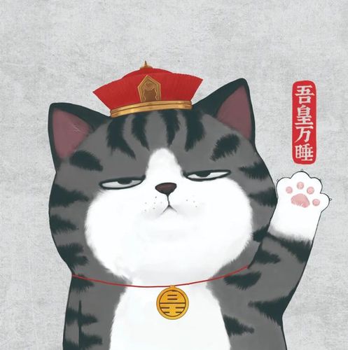 hello summer!五丰臻我×吾皇万睡冰淇淋全家上线,萌翻今夏