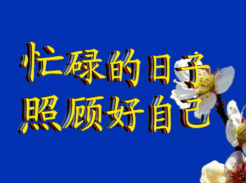 走过路过,西外专属表情包,怎能错过?