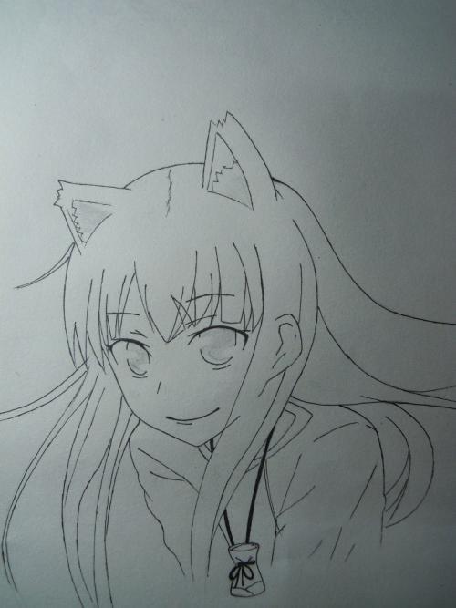 赫萝简笔画