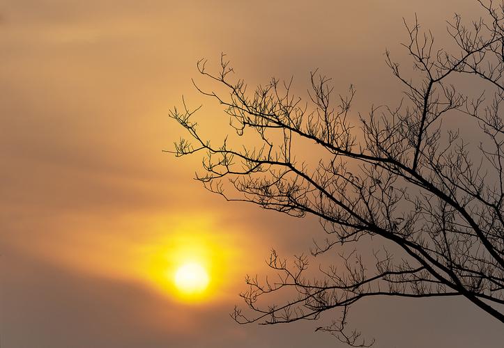 冬日早晨的阳光