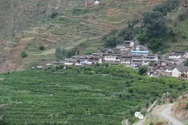 大理:宾川县平川镇"四着力"夯实"直过民族"发展基础