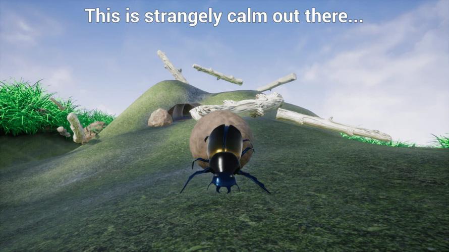 dung beetle