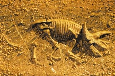 白垩纪恐龙化石中发现血液寄生虫