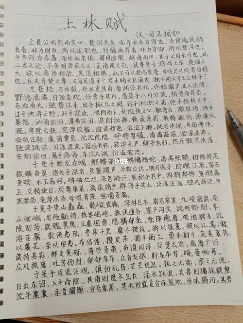 随笔‖手抄《上林赋》_随笔_上林赋_文化_书法
