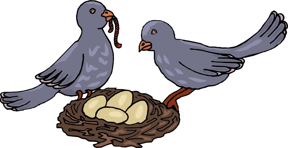 cartoon birds with nest