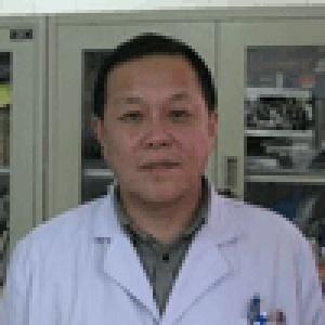 王振宇医生预约挂号_哈尔滨医科大学附属第二医院中医科王振宇大夫