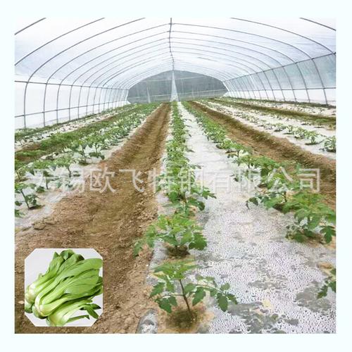 长期供应 单体大棚骨架 温室蔬菜大棚 单体蔬菜大棚