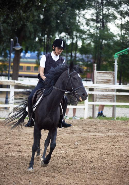 丁真在骑马场展现酷飒风姿 开怀大笑帅气十足