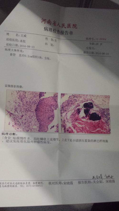 胃镜,活检检查结果.麻烦帮看下