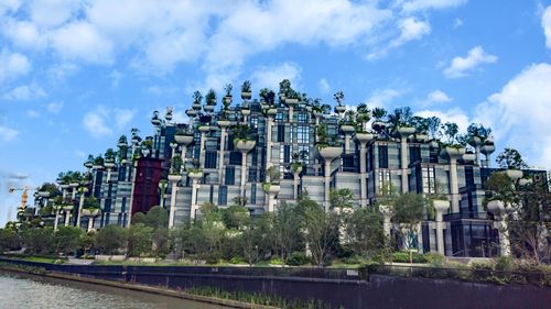 上海天安千树