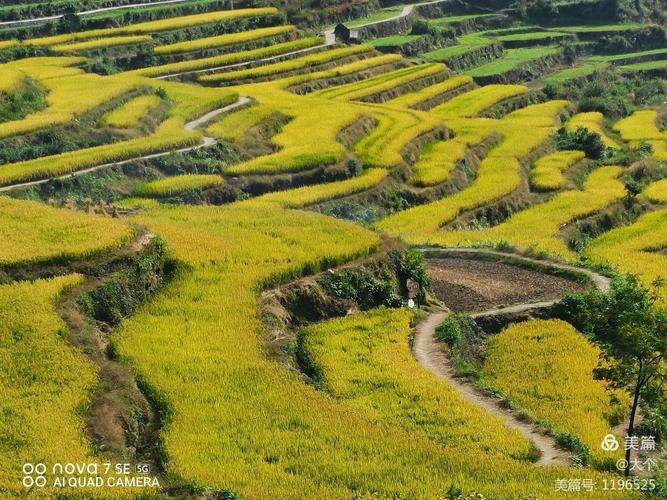 千年梯田覆卮山景区,浙江上虞古村东澄村