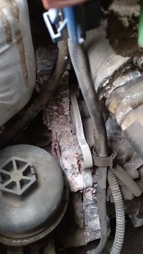 雪铁龙 世嘉 2011款 三厢 1.6l 自动时尚型