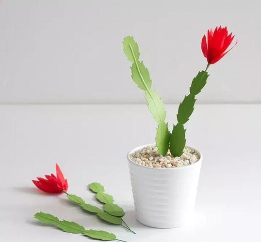 创意小仙人掌手工制作,给寒冷的冬天添一抹绿