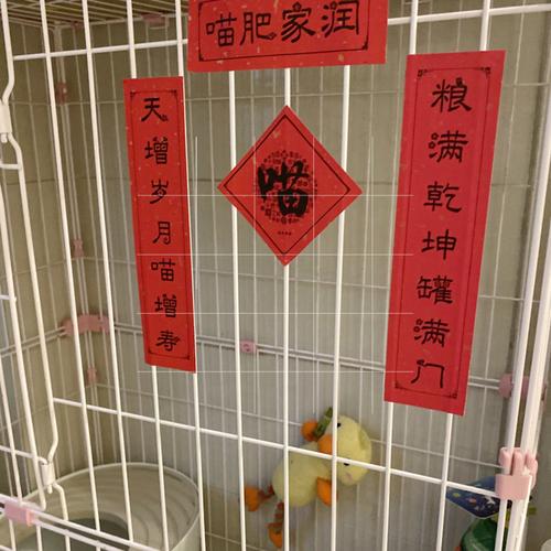 对联喵肥家宠物新年挥春趣味猫窝猫笼厕所春节对联