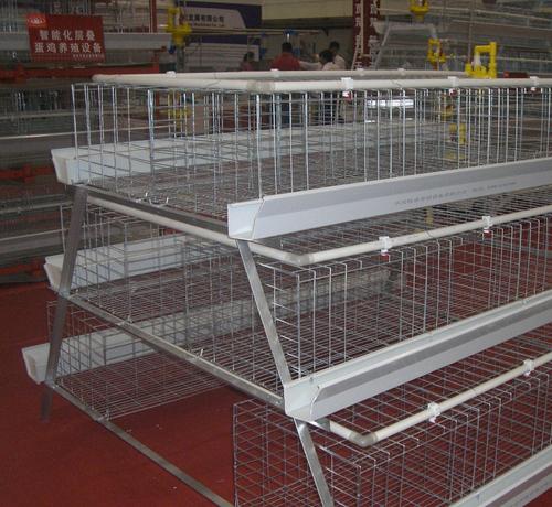 四层蛋鸡笼,四门蛋鸡笼,标准蛋鸡笼,四层四门蛋鸡笼,全球标准四层