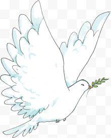 手绘卡通白色鸽子