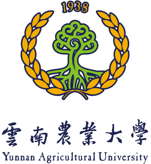 云南农业大学简历简单封面