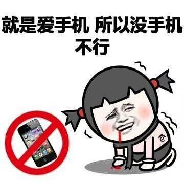 手机于我表情包 :手机就是你们容易,那么容易让人着迷