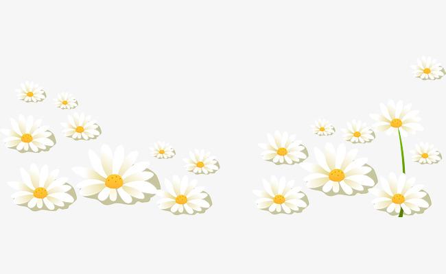 小雏菊底边插画矢量图