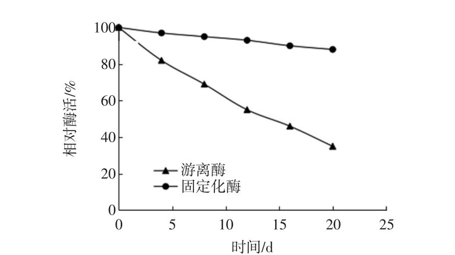 海藻酸钠包埋法固定l-阿拉伯糖异构酶的研究