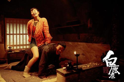 一曲民族的悲歌——白鹿原