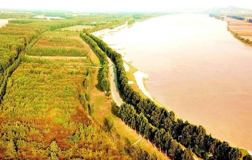 黄河流经山东美 秀逸醉人东平景