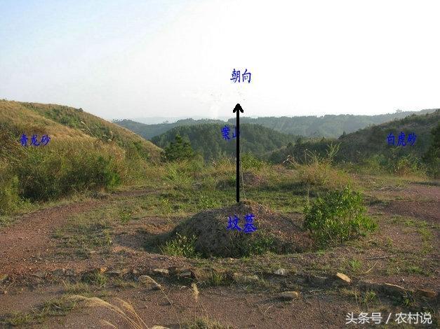 农村说农村坟墓这两种情况的出现定然导致后代绝枝