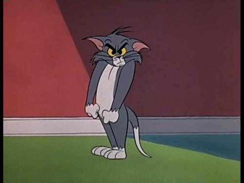 盘点猫和老鼠那些萌萌哒的瞬间