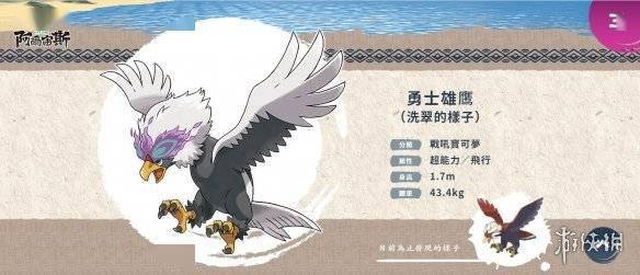 在冬季自北方飞来,孤高的鸟宝可梦:洗翠地区的毛头小鹰进化后,就会