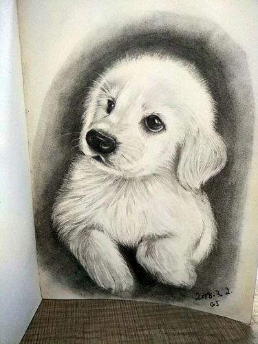 狗|纯艺术|绘画|sevenbaby90423 - 原创作品 - 站酷