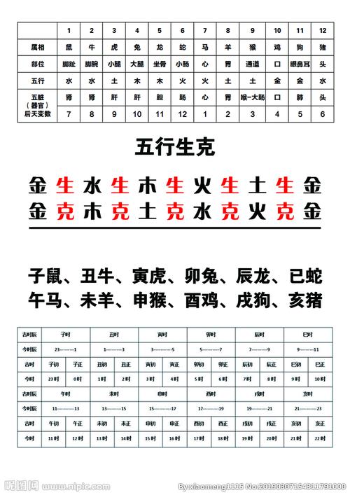五行生肖时刻表图片
