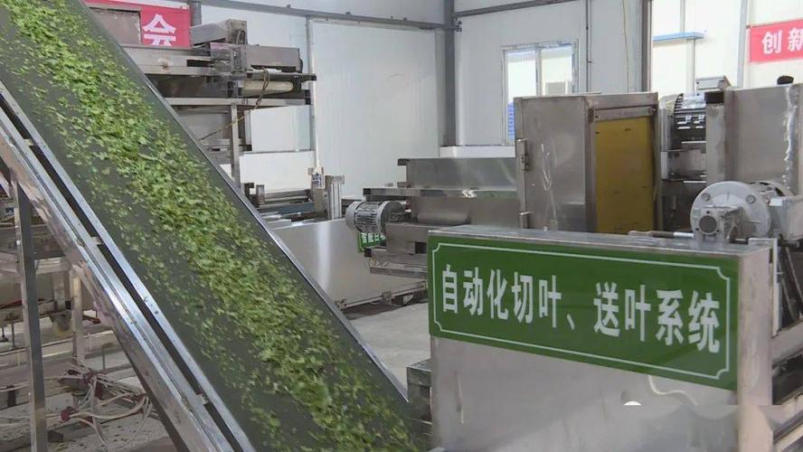 首条智能自动化养蚕生产线亮相今年科技