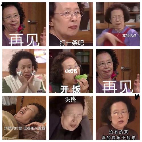 罗文姬女士 生活榜样_表情包_头像_罗文姬_素材_表情包