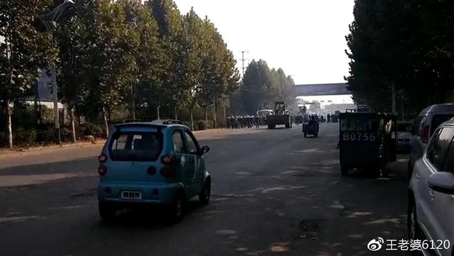 转载举报 河南省周口市沈丘县最大黑社会董华伟