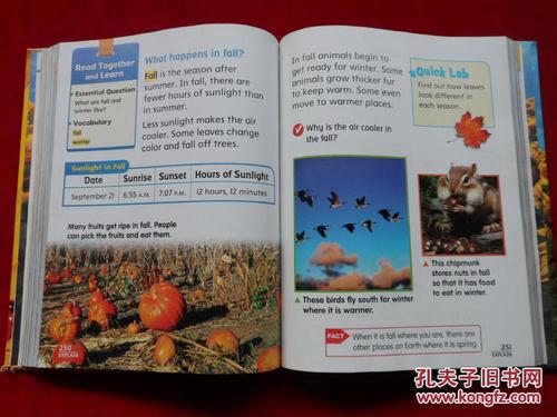 scienceacloserlook美国课本1级科学仔细观察