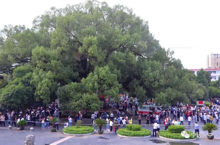 毕业了宁远一中让我再看看你