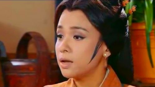 二十四孝之闵损芦衣顺母-"母在一子单,母去三子寒"
