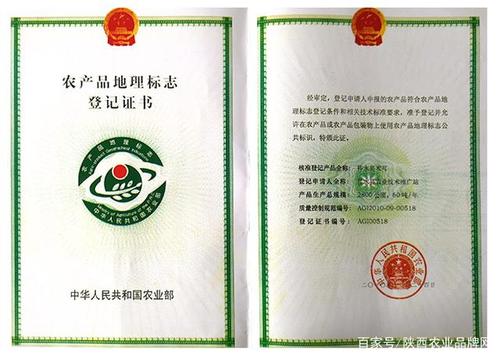 国家地理标志产品——陕西柞水黑木耳