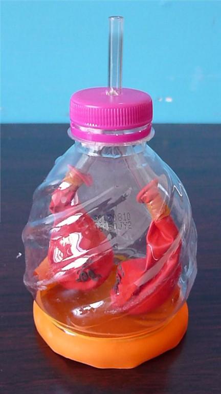 制作的呼吸运动与膈肌关系的模型