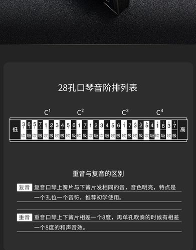 上海国光28孔宽音域口琴复音c调初学送礼重音口琴28孔