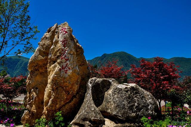 重庆景点:城口县九重花岭