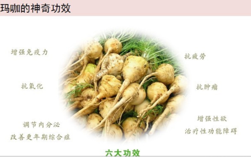 3,将玛卡植物的果实,根茎,经人工采集之后晾晒,脱水成为干果干片