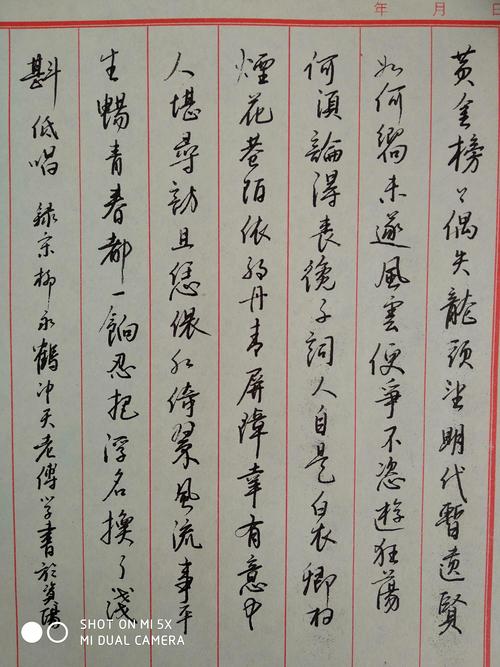柳永《鹤冲天》每周一篇钢笔字练习笔友钢笔书法习作欣赏