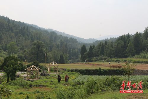慈利县三官寺土家族乡旅游边缘经济风生水起