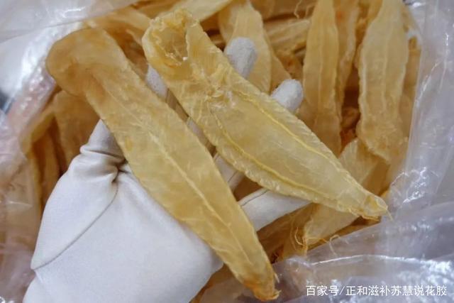 假花胶是什么做的?7个最简单辨别花胶真假的方法收藏好了!