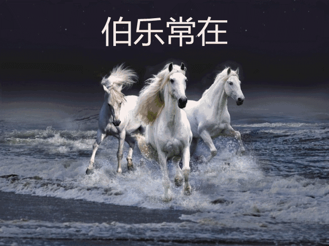 [转载]伯乐已经有了,千里马在哪里呢?