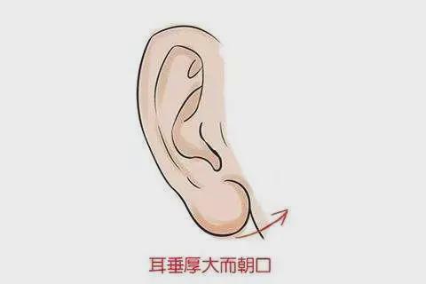 女人没有耳垂面相有什么说法啊?