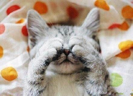 李易峰分享170709李易峰解锁喵喵新动作羞羞捂脸萌萌哒